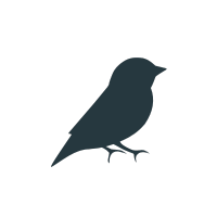 Pajaros.png